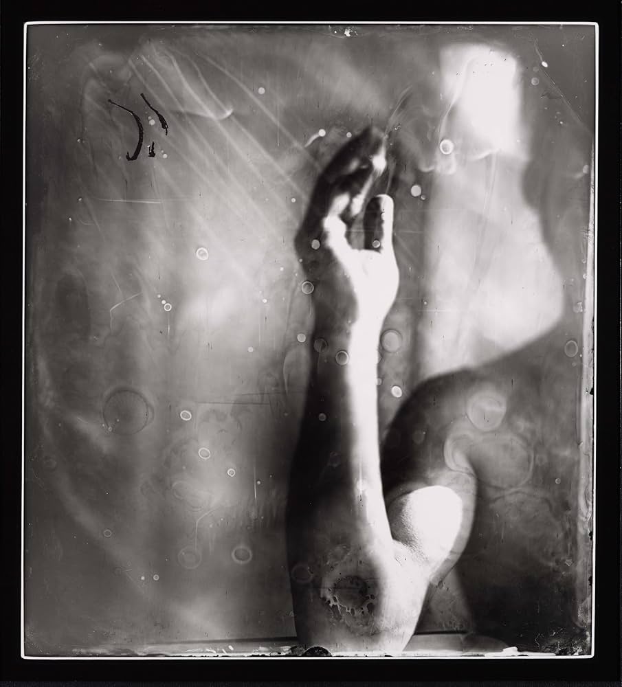 Amazon | Sally Mann: Proud Flesh | Mann, Sally, Wright